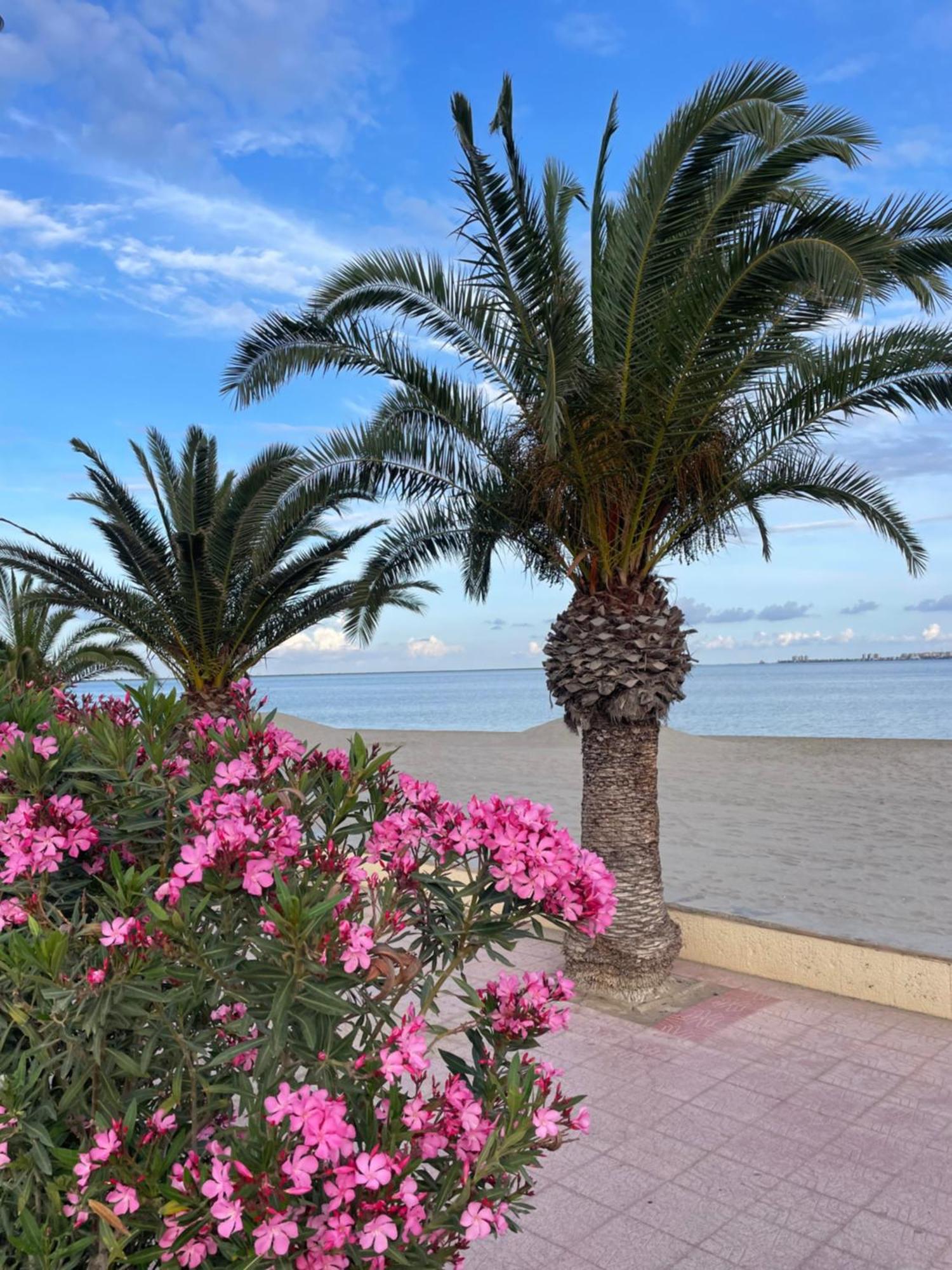 Casa Del Sol - Santiago De La Ribera, San Javier, 600 M From The Beach, Swimming Pool Ngoại thất bức ảnh